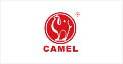 Camel Group