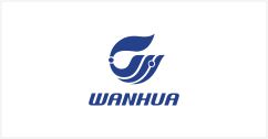 Wan Hua
