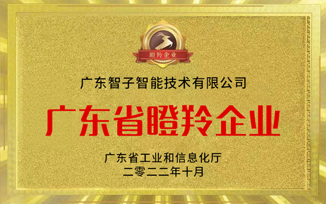 Guangdong Gazelle Enterprise